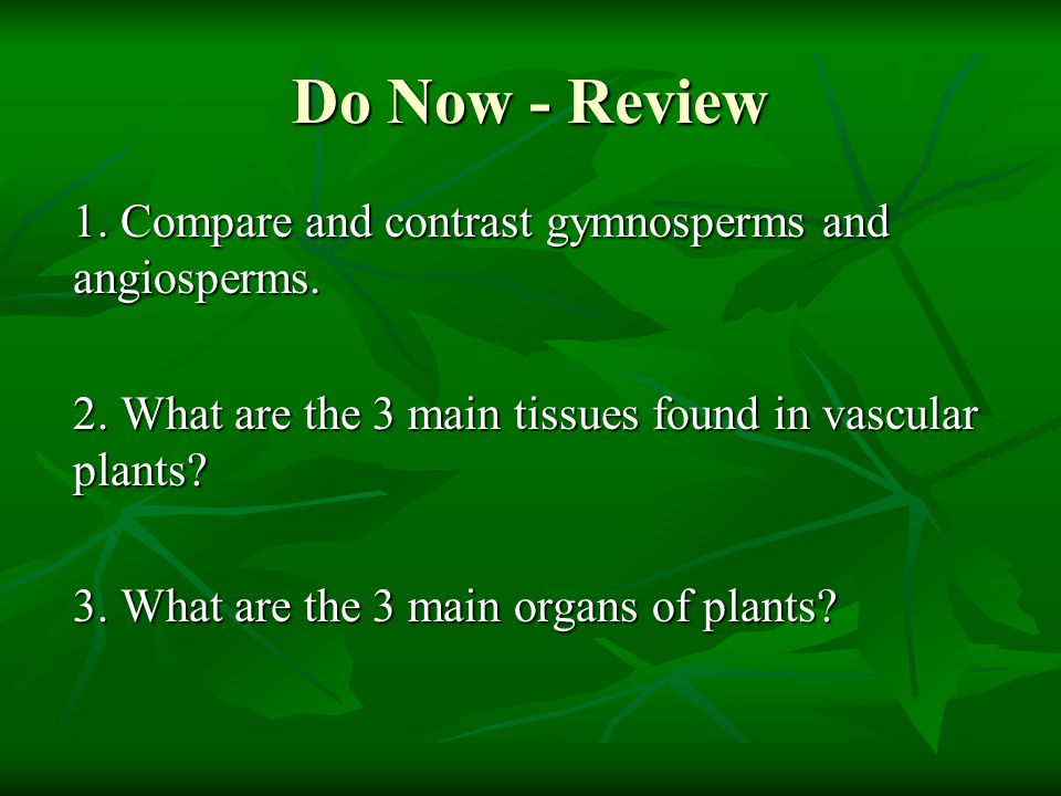 Do Now - Review 1. Compare and contrast gymnosperms and angiosperms.