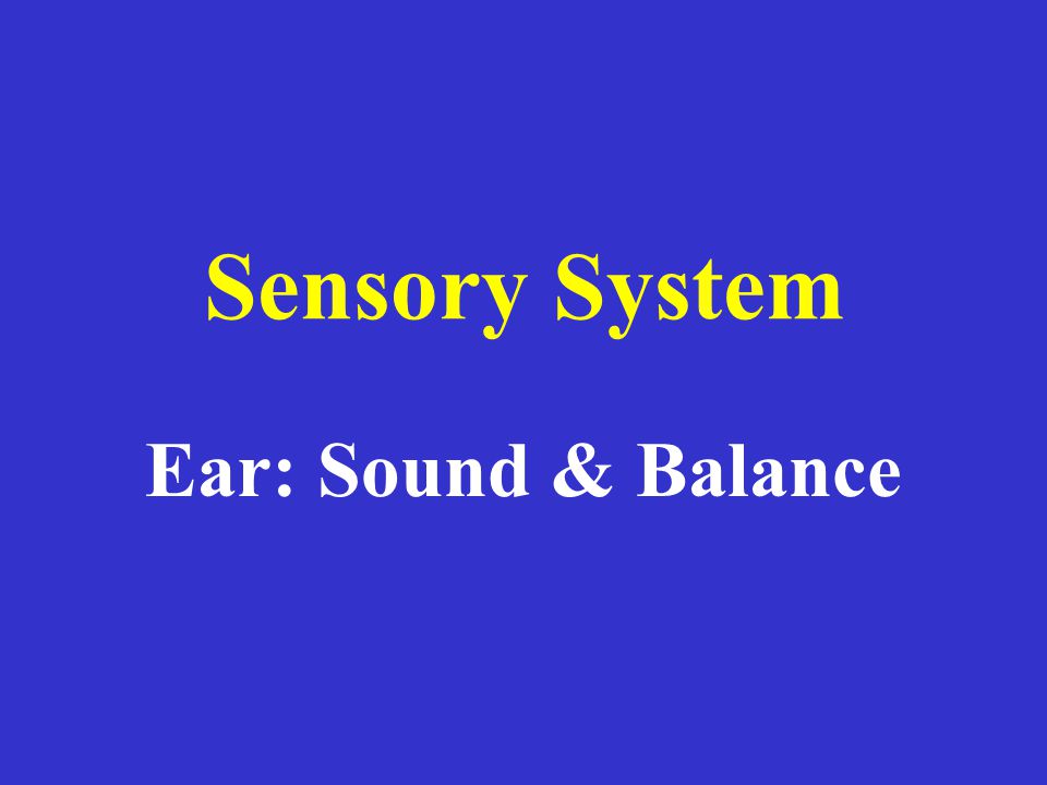 Sensory System Ear: Sound & Balance