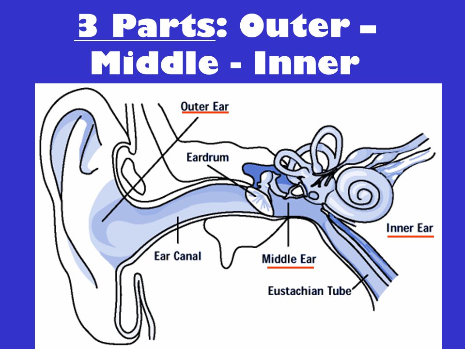 3 Parts: Outer – Middle - Inner