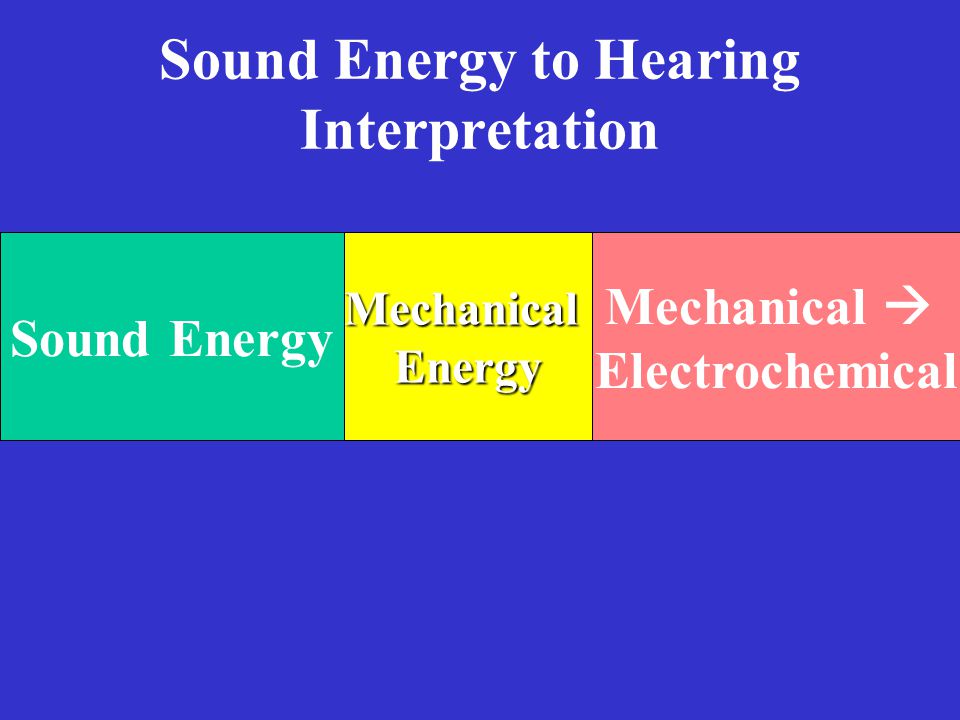 Sound Energy to Hearing Interpretation