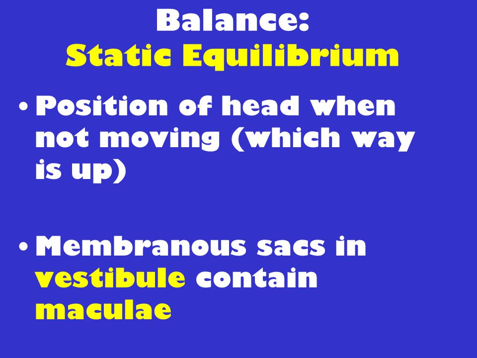 Balance: Static Equilibrium