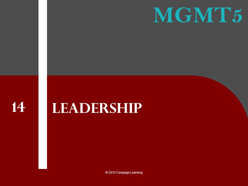 Leadership 14 © 2012 Cengage Learning