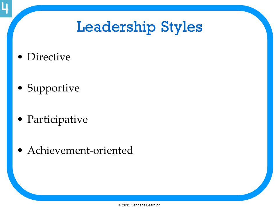 Leadership Styles Directive Supportive Participative