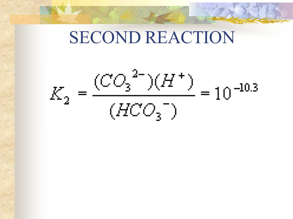 SECOND REACTION