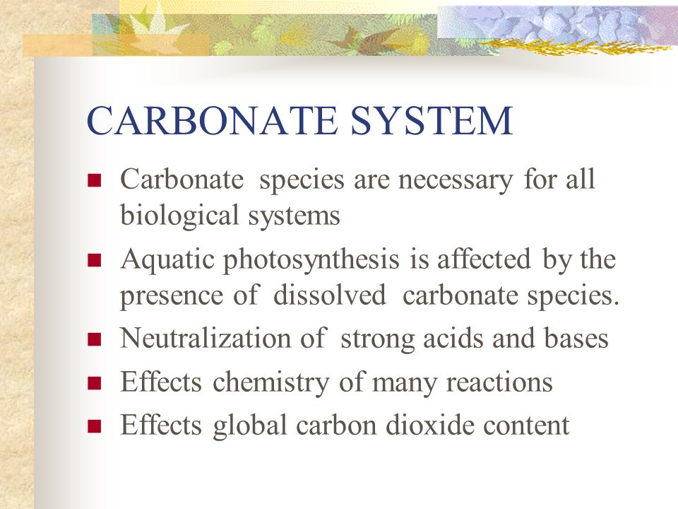 CARBONATE SYSTEM Carbonate species are necessary for all biological systems.
