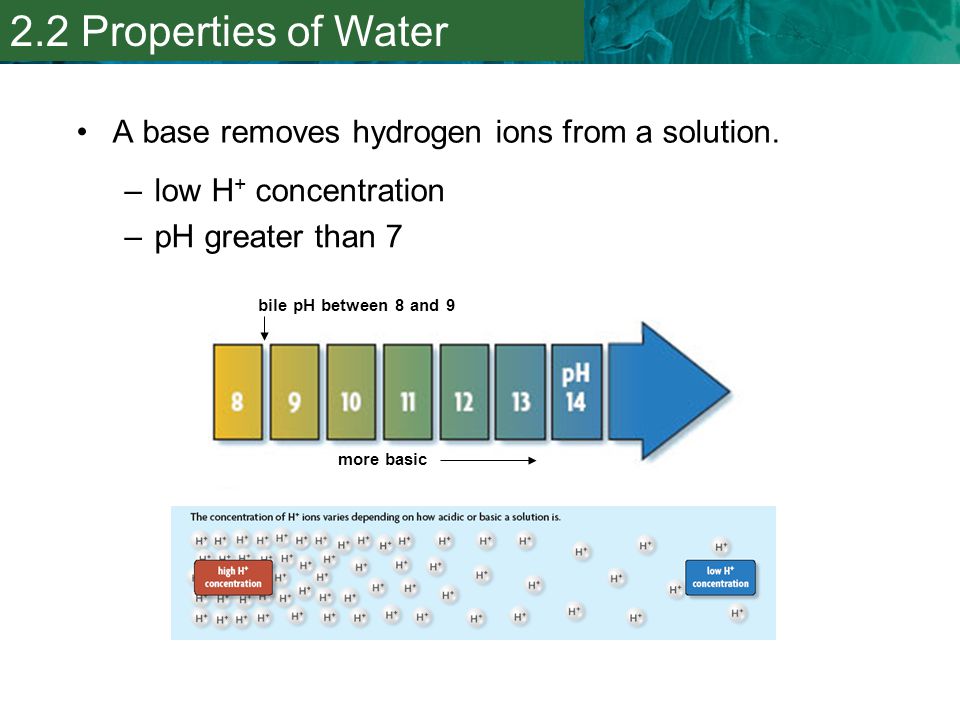2.2 Properties of Water A base removes hydrogen ions from a solution.