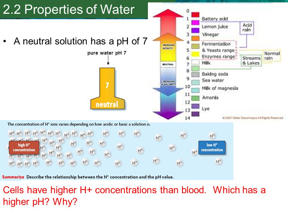 2.2 Properties of Water A neutral solution has a pH of 7.