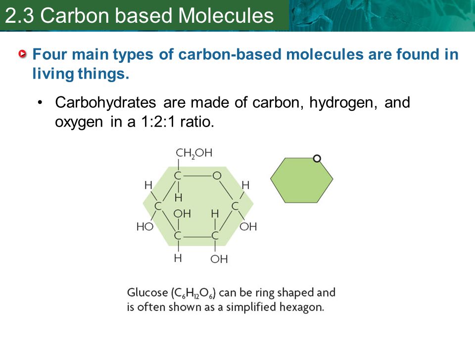 Four main types of carbon-based molecules are found in living things.
