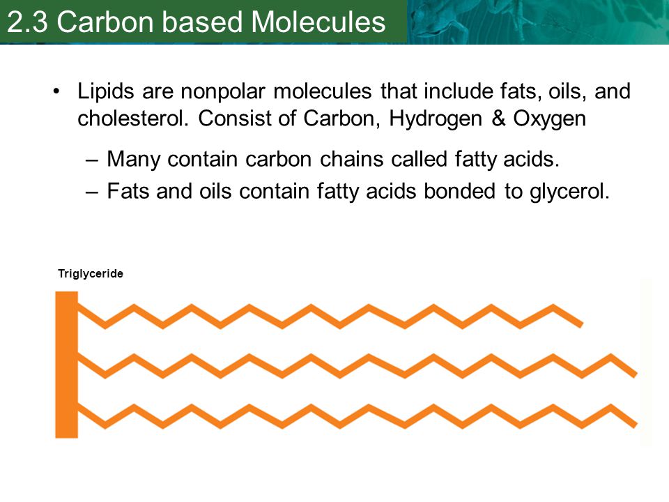 2.3 Carbon based Molecules