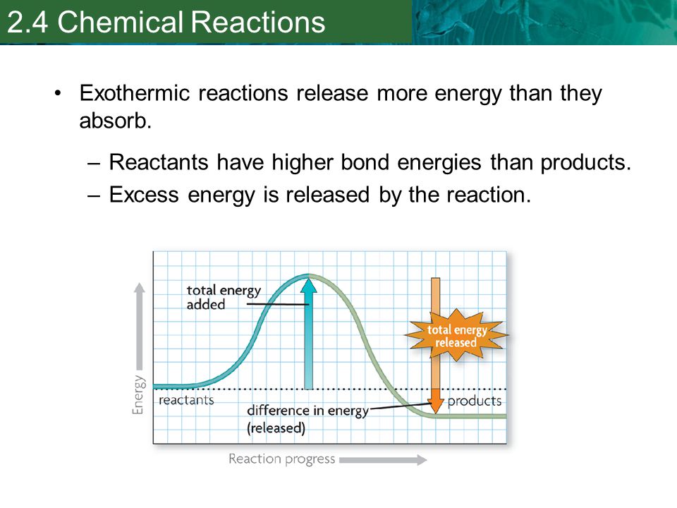 2.4 Chemical Reactions Exothermic reactions release more energy than they absorb. Reactants have higher bond energies than products.