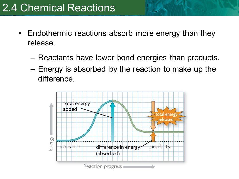 2.4 Chemical Reactions Endothermic reactions absorb more energy than they release. Reactants have lower bond energies than products.