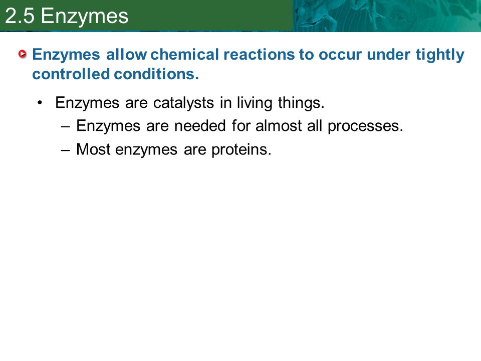2.5 Enzymes Enzymes allow chemical reactions to occur under tightly controlled conditions. Enzymes are catalysts in living things.