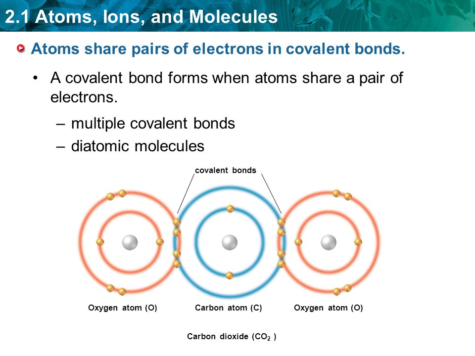 Atoms share pairs of electrons in covalent bonds.