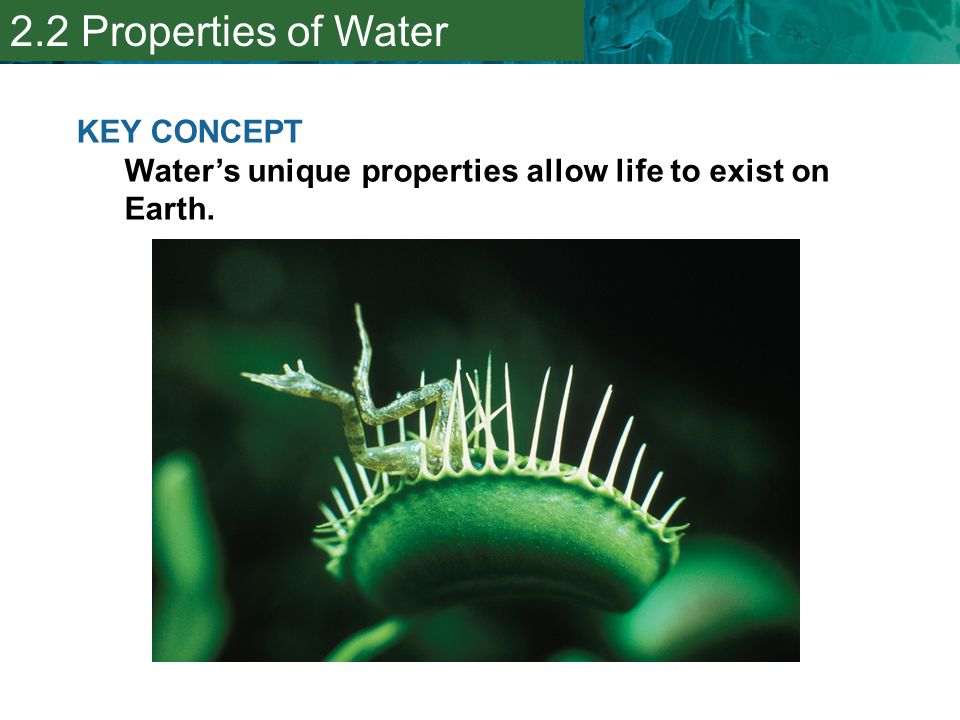 2.2 Properties of Water KEY CONCEPT Water’s unique properties allow life to exist on Earth.