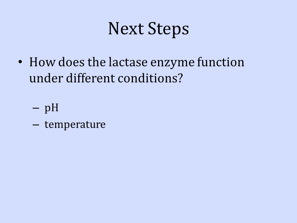 Next Steps How does the lactase enzyme function under different conditions pH temperature