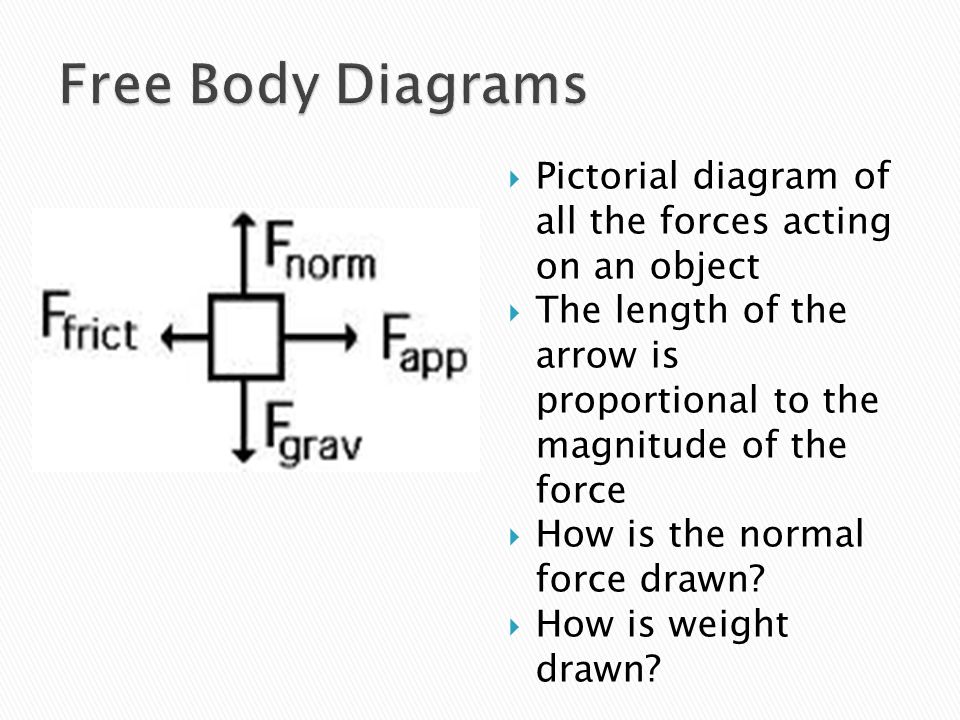 Free Body Diagrams Pictorial diagram of all the forces acting on an object. The length of the arrow is proportional to the magnitude of the force.