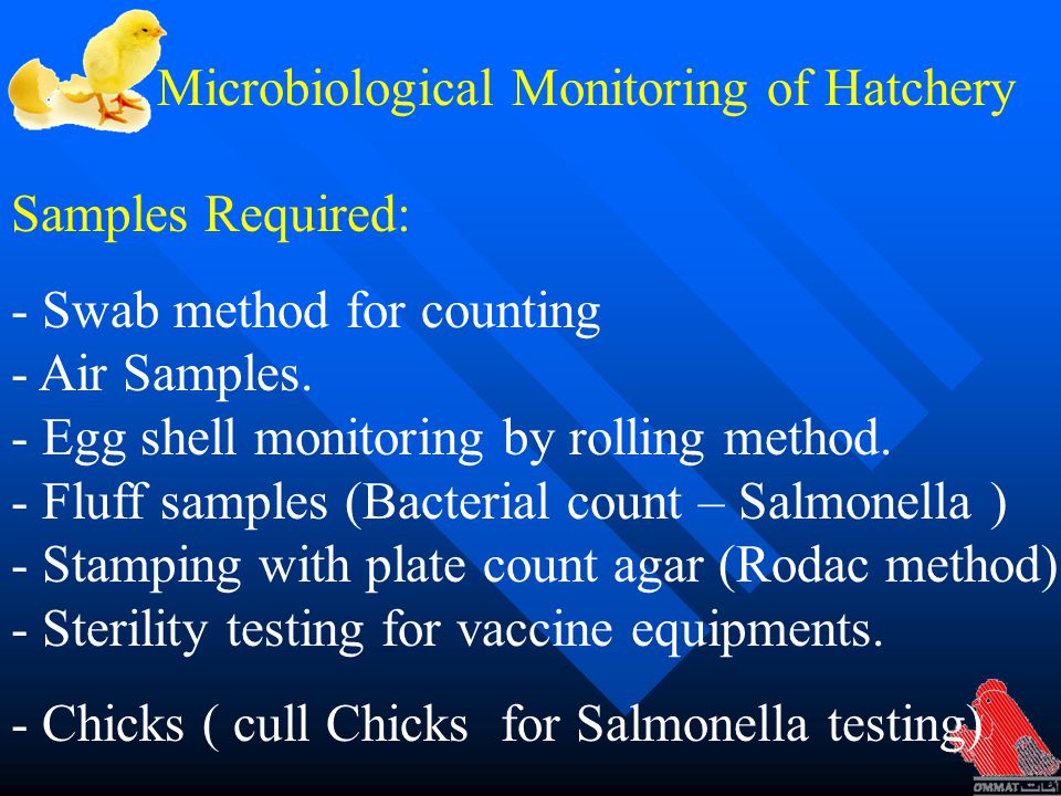 Microbiological Monitoring of Hatchery