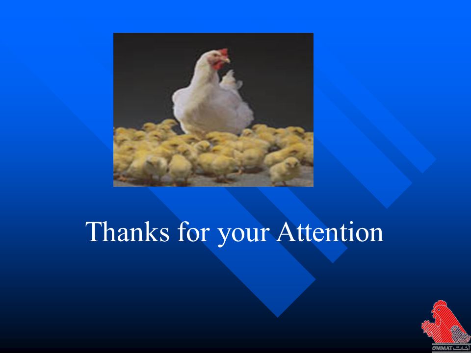 Thanks for your Attention