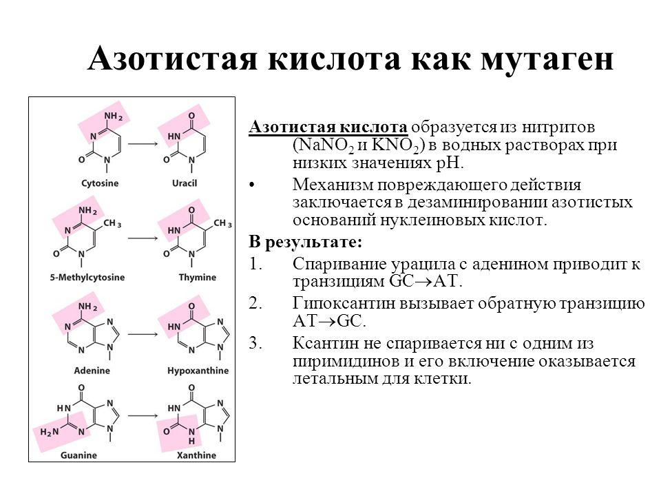 Где получить образец мутагена