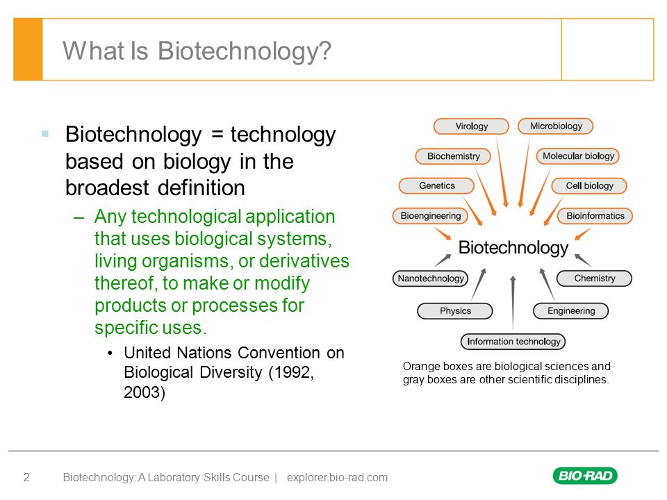 What Is Biotechnology Biotechnology = technology based on biology in the br...