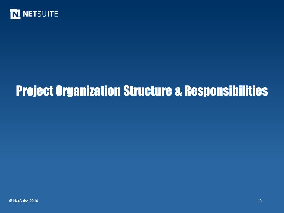 Project Organization Structure & Responsibilities
