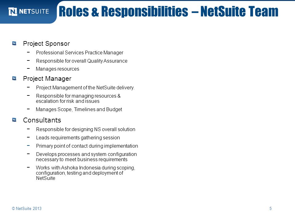 Roles & Responsibilities – NetSuite Team