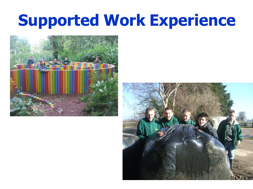 Supported Work Experience