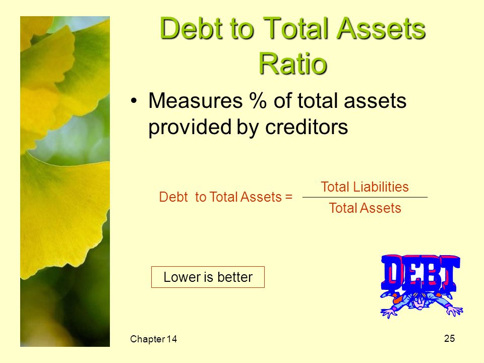 Debt to Total Assets Ratio