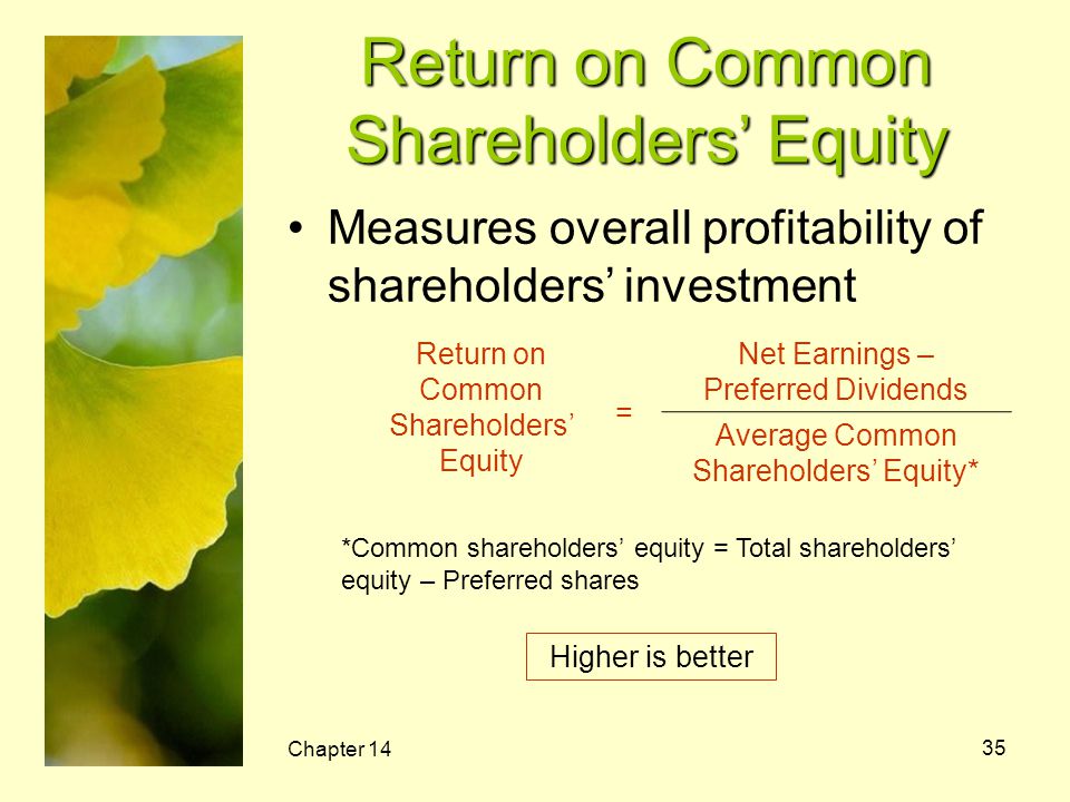 Return on Common Shareholders’ Equity