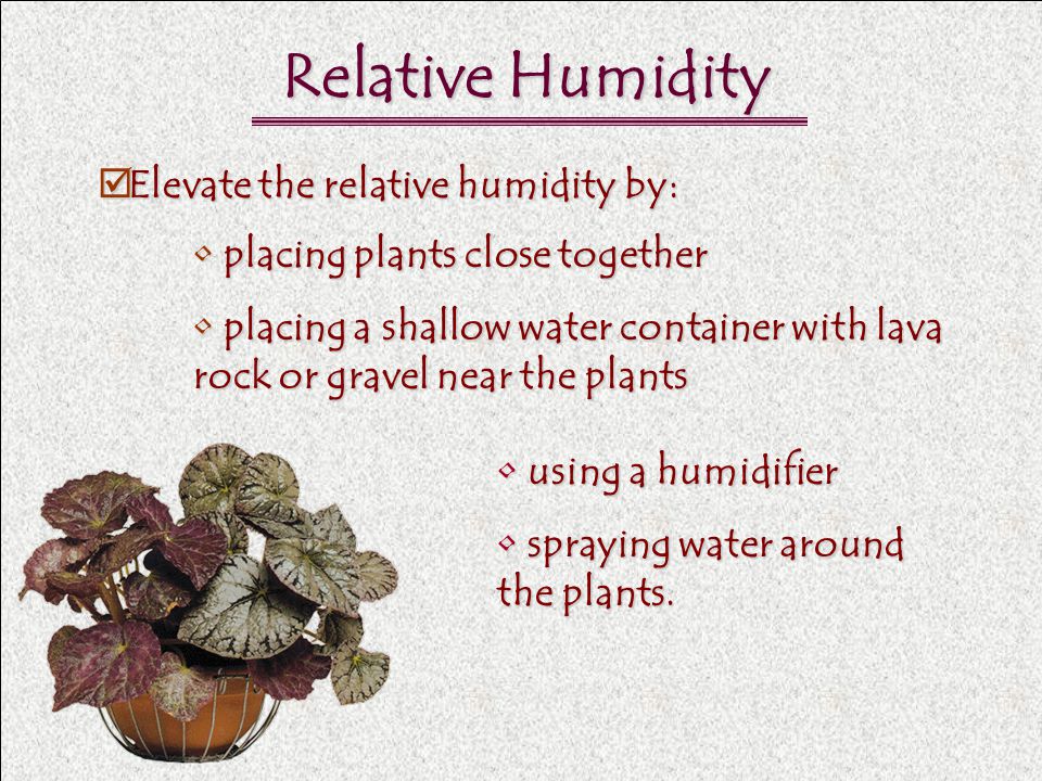 Relative Humidity Elevate the relative humidity by: