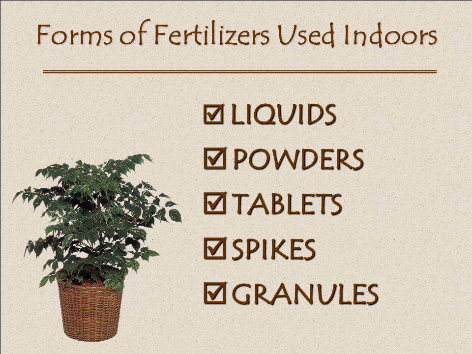 Forms of Fertilizers Used Indoors