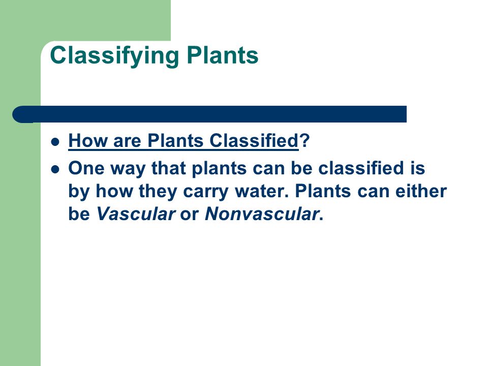 Classifying Plants How are Plants Classified