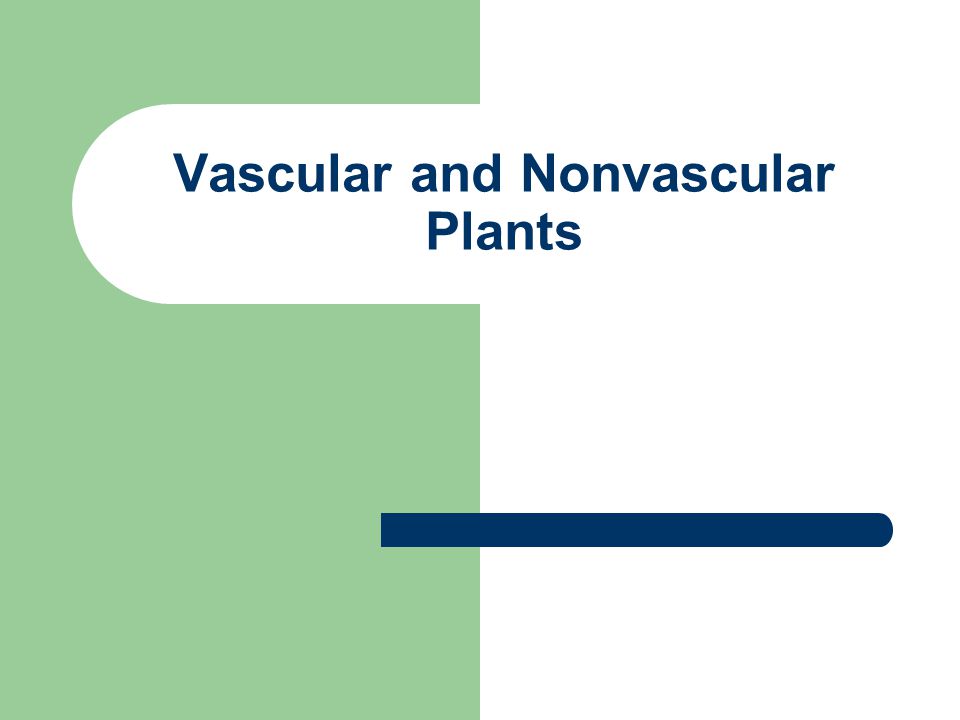 Vascular and Nonvascular Plants