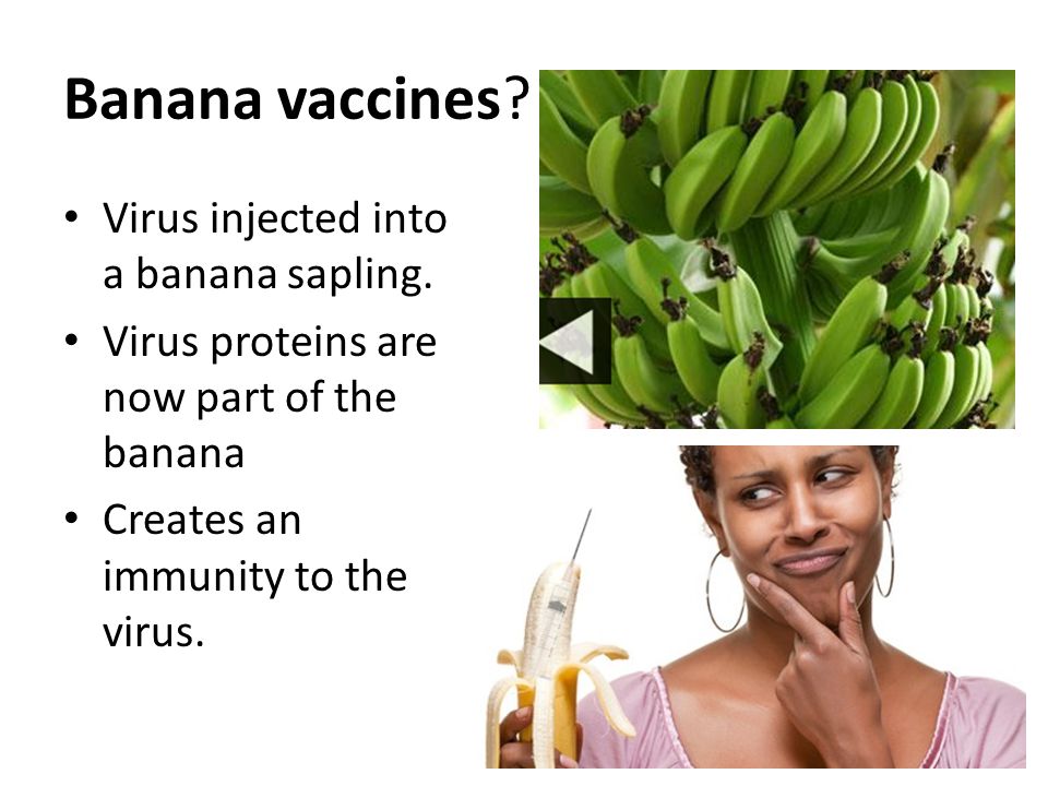 Banana vaccines Virus injected into a banana sapling.