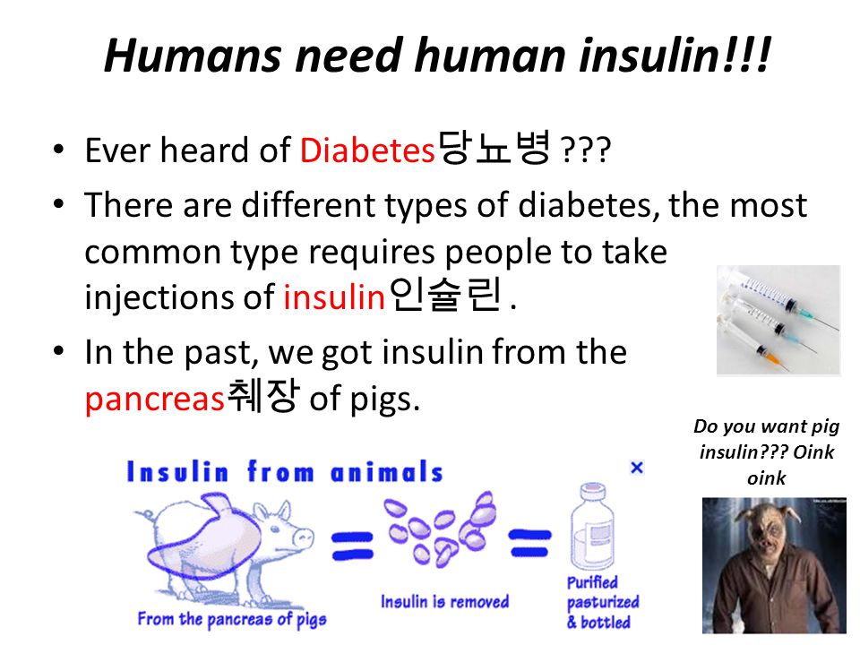 Humans need human insulin!!! Do you want pig insulin Oink oink