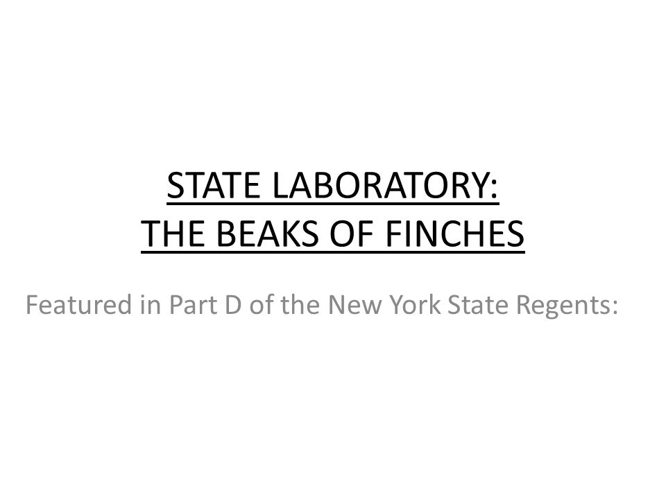 STATE LABORATORY: THE BEAKS OF FINCHES