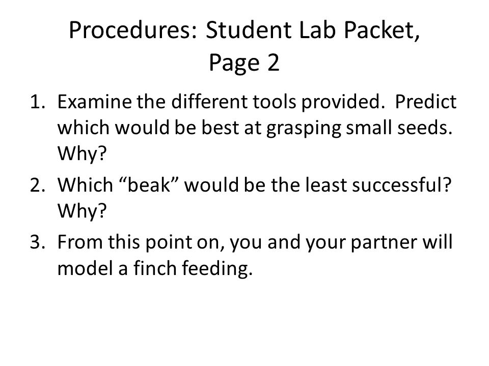 Procedures: Student Lab Packet, Page 2