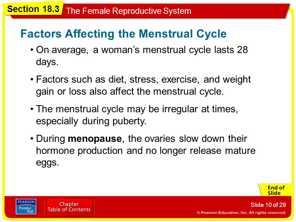 Factors Affecting the Menstrual Cycle