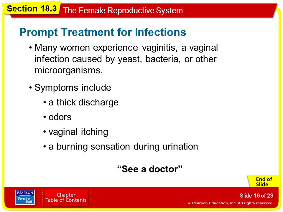 Prompt Treatment for Infections