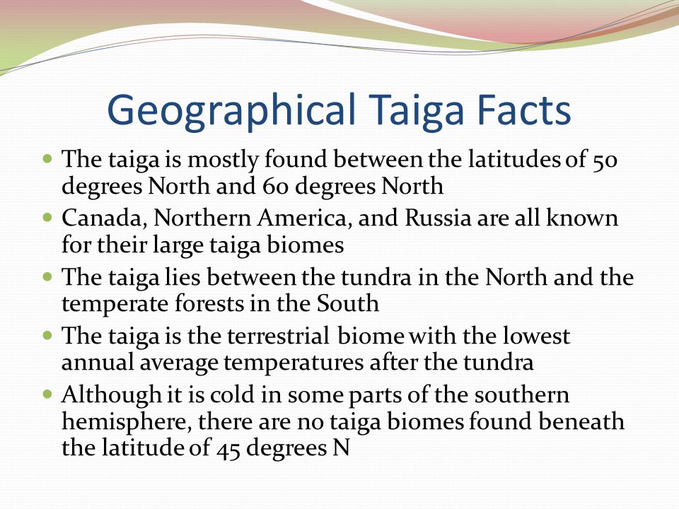 Geographical Taiga Facts