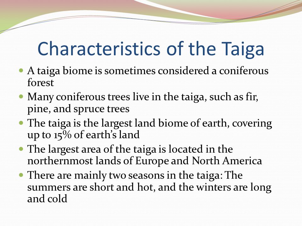 Characteristics of the Taiga