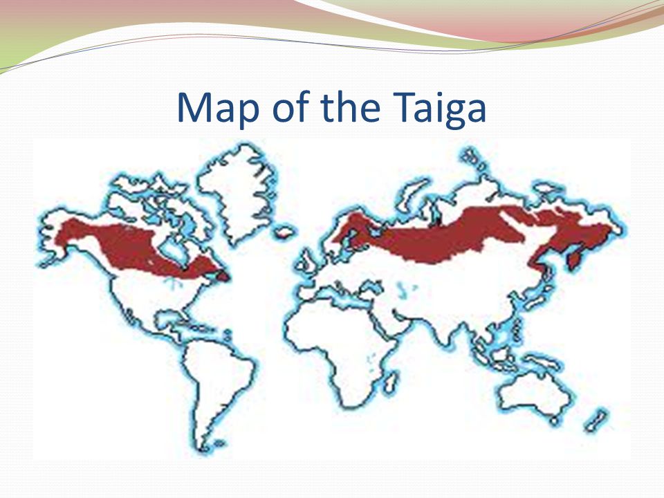 Map of the Taiga