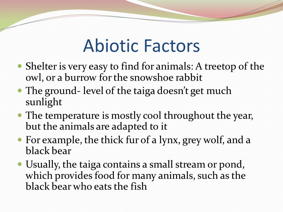 Abiotic Factors Shelter is very easy to find for animals: A treetop of the owl, or a burrow for the snowshoe rabbit.