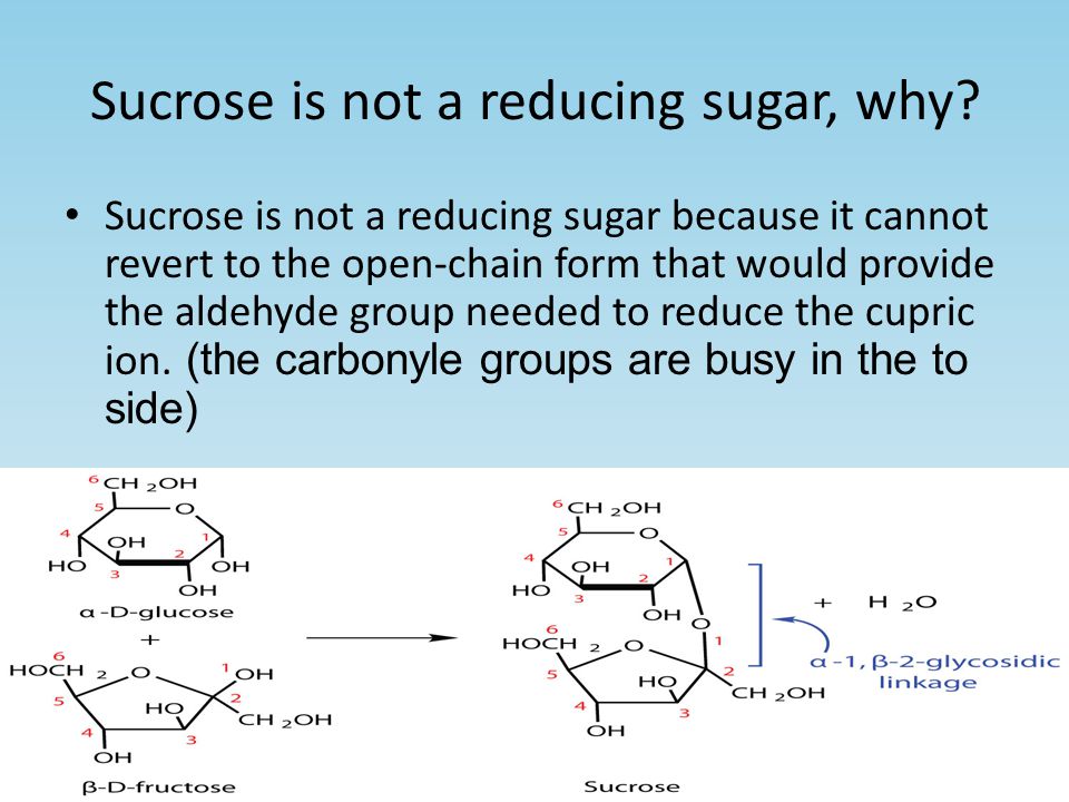 Sucrose is not a reducing sugar, why