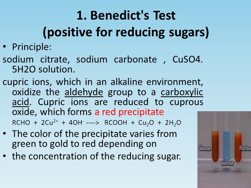 1. Benedict s Test (positive for reducing sugars)