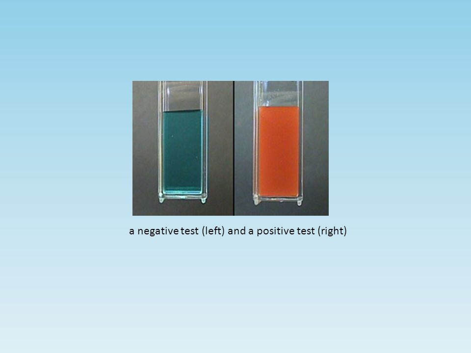 a negative test (left) and a positive test (right)