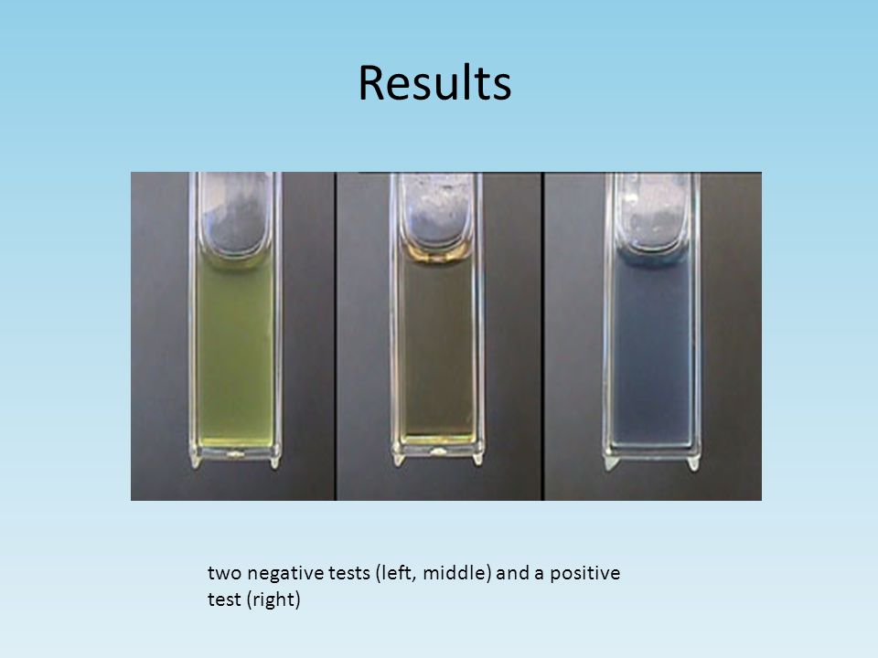 Results two negative tests (left, middle) and a positive test (right)