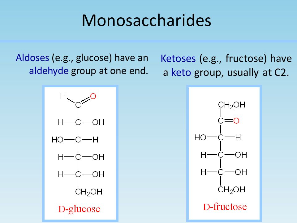 Monosaccharides Aldoses (e.g., glucose) have an aldehyde group at one end. Ketoses (e.g., fructose) have a keto group, usually at C2.