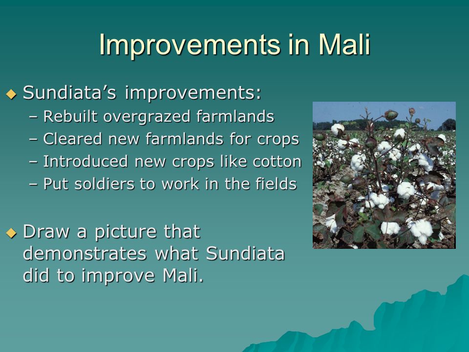 Improvements in Mali Sundiata’s improvements: