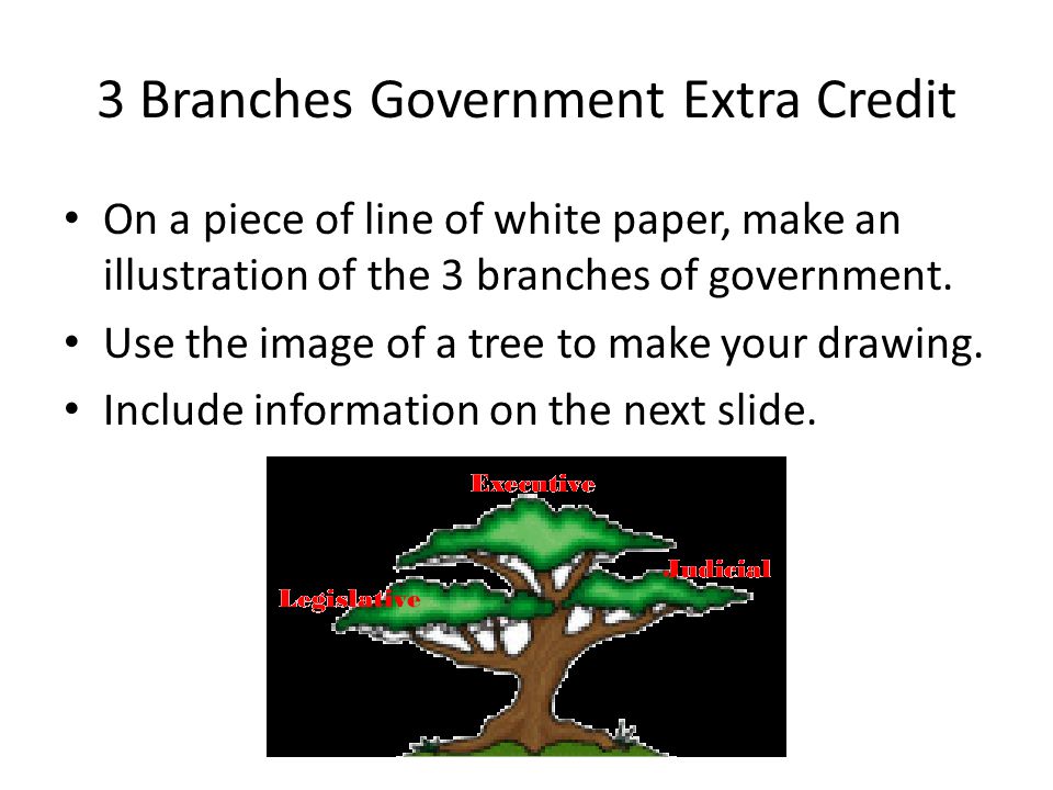 3 Branches Government Extra Credit